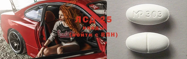 крисы Гусев