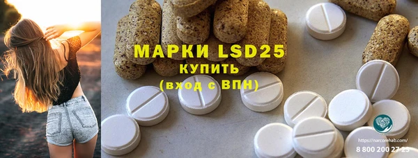 крисы Гусев