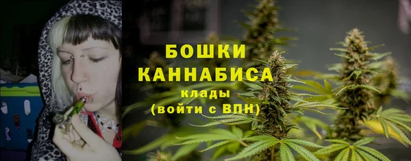 2c-b Гусиноозёрск